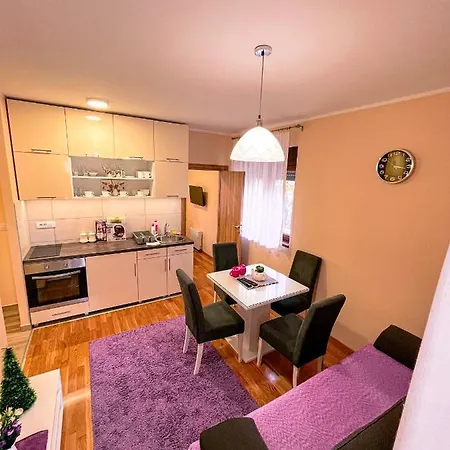 Popovic Apartment